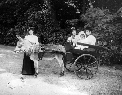 Victorian Donkey Cart by English Photographer
